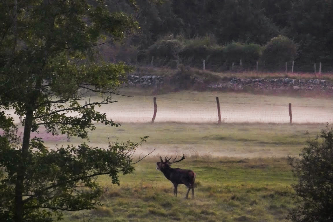 Serial Pix tweet media