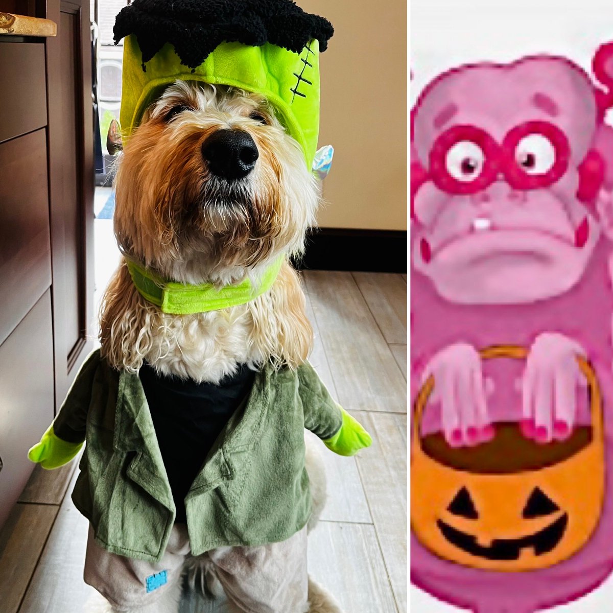 Matt Titone tweet media