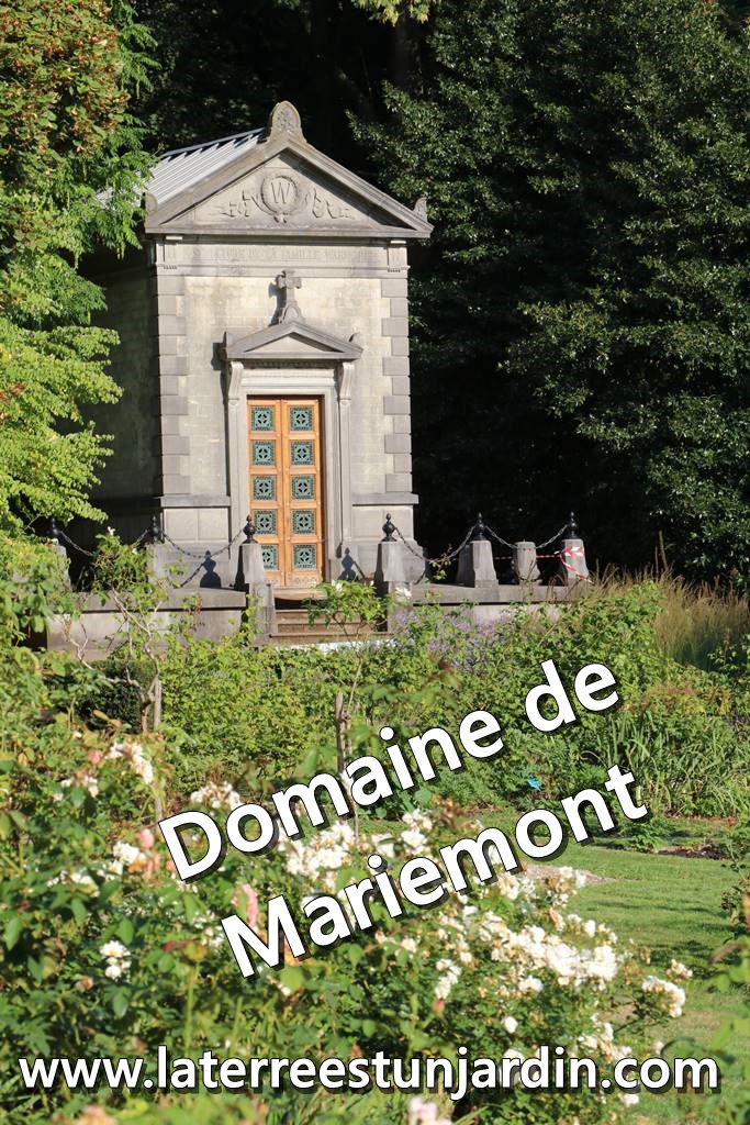 LevequeGeorges's tweet photo. L'histoire du Domaine de #Mariemont, en #Belgique, remonte au temps de #CharlesQuint. Régulièrement ouvert au public, on le trouve en #Wallonie. Lire : https://t.co/2xZ3r5NTOs #AgnèsPirlot en dresse un #portrait tentant. Dans le #parc : un #Phellodendron amurense #exceptionnel. https://t.co/P9xLMxGtQC