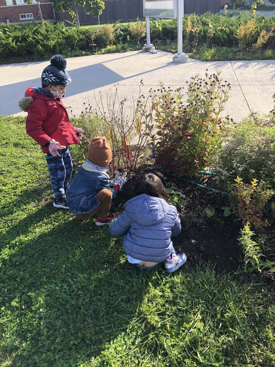 PlayInPrimaryEd's tweet photo. This week we tucked lots of bulbs in for winter and guessed what kinds of flowers they would become in the spring! 🤔 🌸 @BlackWalnutPS #getoutside #nurturenature https://t.co/8KFLuI9HID