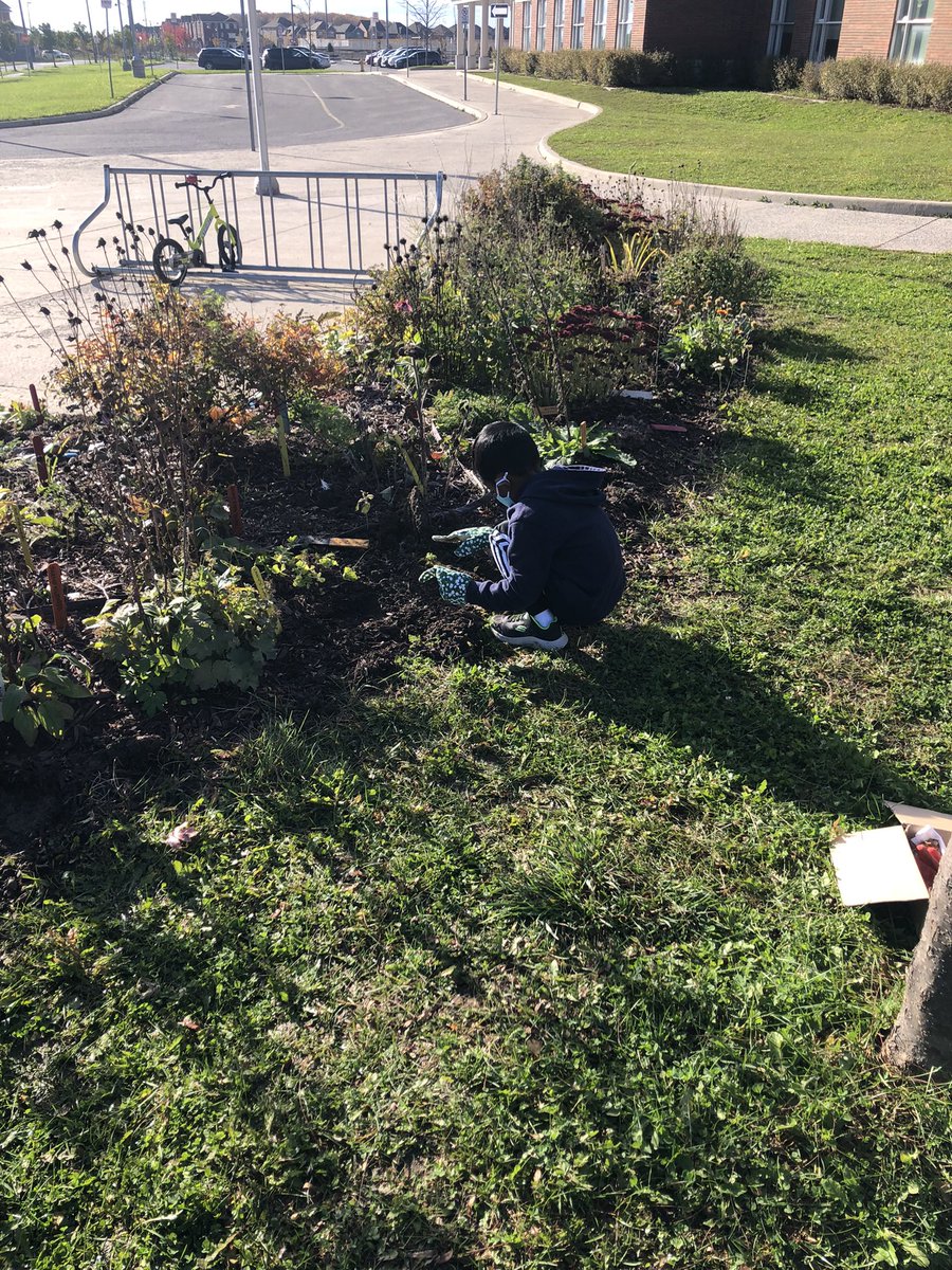 PlayInPrimaryEd's tweet photo. This week we tucked lots of bulbs in for winter and guessed what kinds of flowers they would become in the spring! 🤔 🌸 @BlackWalnutPS #getoutside #nurturenature https://t.co/8KFLuI9HID
