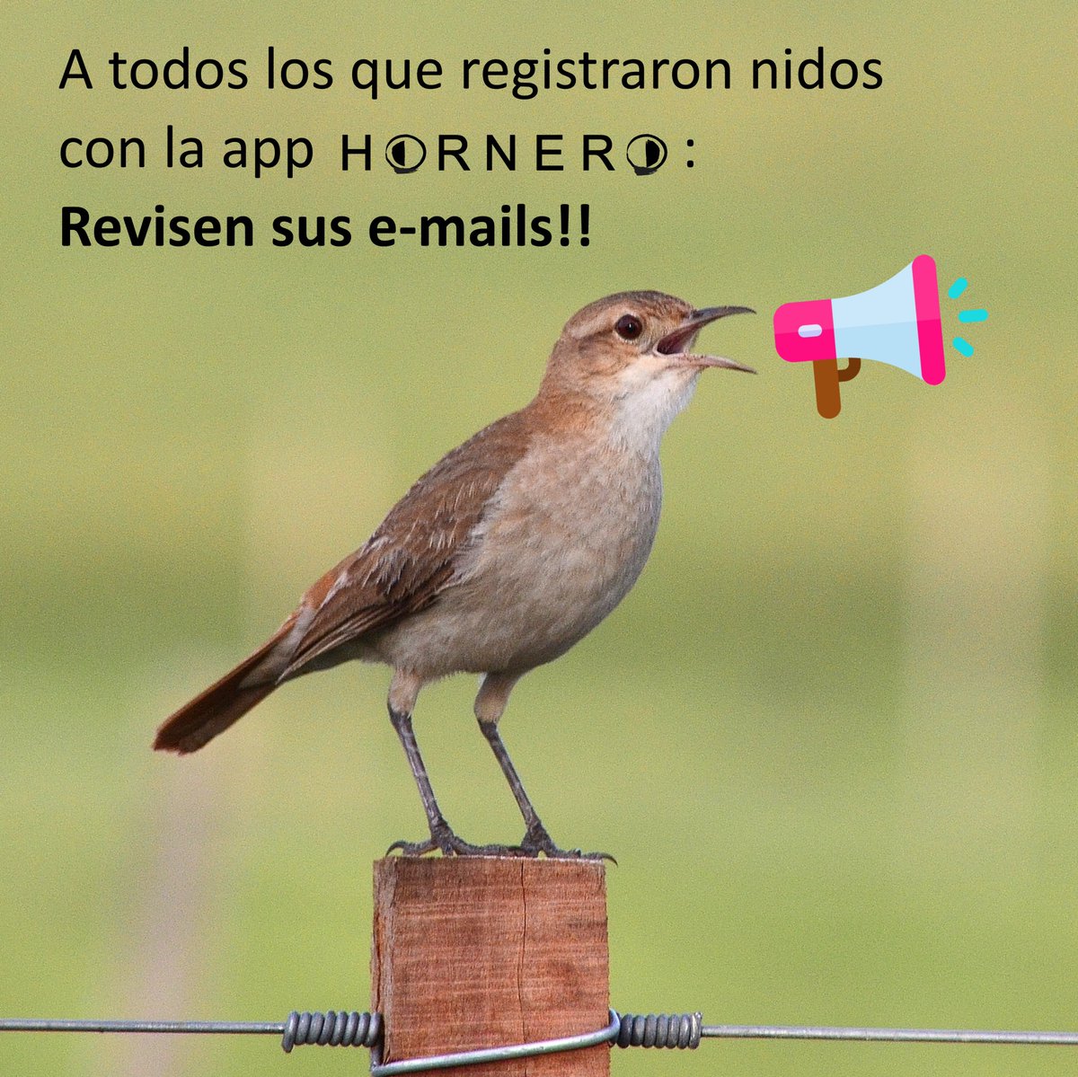 nidohorneros's tweet photo. Revisen su correo y si no les ha llegado nada, por el motivo que sea escribi a nidohorneros@gmail.com. Aclara cuál fue el correo electrónico utilizado para registrar la app.
Gracias por participar!!
#hornero
#joaodebarro
#cienciaciudadana
#nidohorneros https://t.co/38du2s69yt