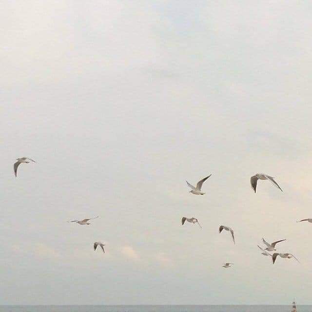 🐱-november wish°🥛𓂂 𓏸
     อย่าได้เปียกปอนอีกเลยนะ วันไหนที่เธอเหนื่อยก็ขอให้เธอได้รับอ้อมกอดและกำลังใจจากคนที่เธอรัก ภาวนาให้เธอมีความสุขในทุกๆวัน ได้กินอาหารที่ชอบ ได้ฟังเพลงที่เธอชอบฟัง และขอให้เธอถูกรายล้อมไปด้วยความรักและความเอ็นดูจากผู้คนที่พบเจอนะคะ·˚ ༘♡ 🍫·˚ˎ