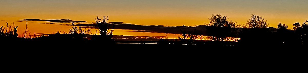 roncarlee's tweet photo. Happy Halloween 🎃 from OBX https://t.co/8WknHao2RG
