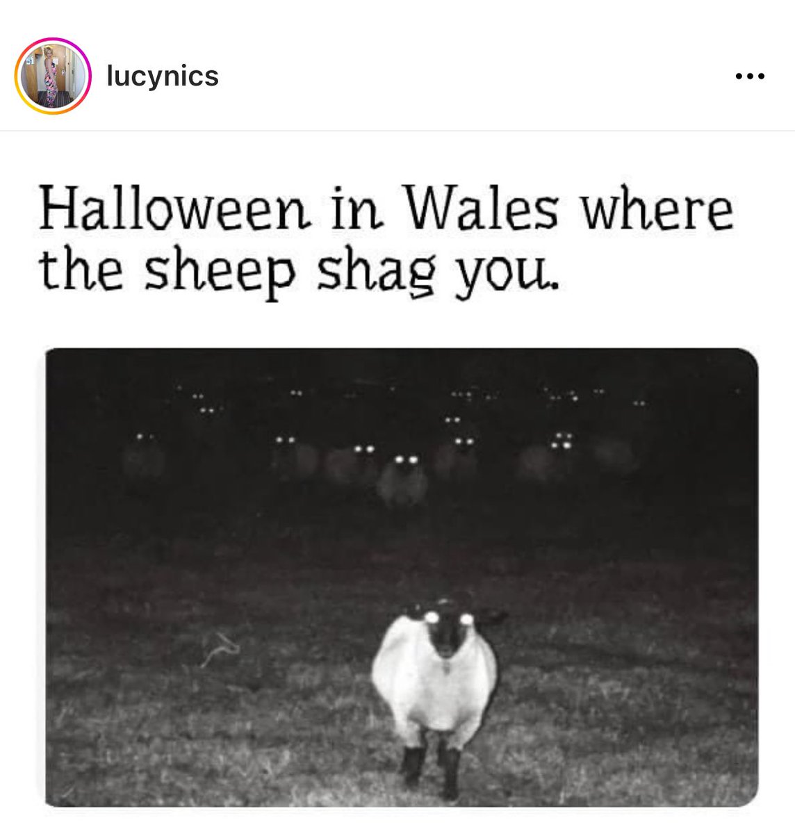 Alex Middleton tweet media