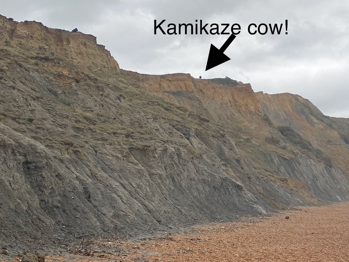 SarahGeography's tweet image. Coastal erosion on the Jurassic Coast is so much worse than I’d thought. We always study the East Yorkshire Coast, but Dorset is a perfect case study too.