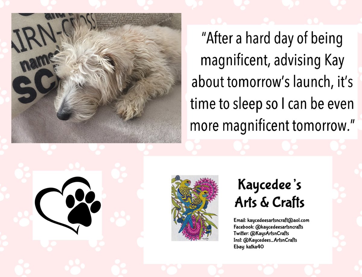 KaysArtsnCrafts's tweet photo. Scruffy’s ready for tomorrow’s launch! 😊
#dog #dogs #dogpages #petpages #handmade #SmallBusiness #crafts #arts #art #ForSale #zentangle #zentangleart #mandala #mandalaart #creative #ceramic #rockpainting #artwork #dotpainting #htlmp https://t.co/Qnsoud016H