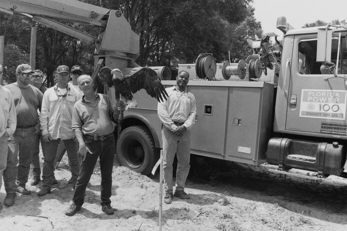 DE_AnaGibbs's tweet photo. .@DukeEnergy has been setting avian platforms since the days of #FloridaPower - protecting wildlife and the environment for future generations to enjoy! https://t.co/WF40JNvFWh