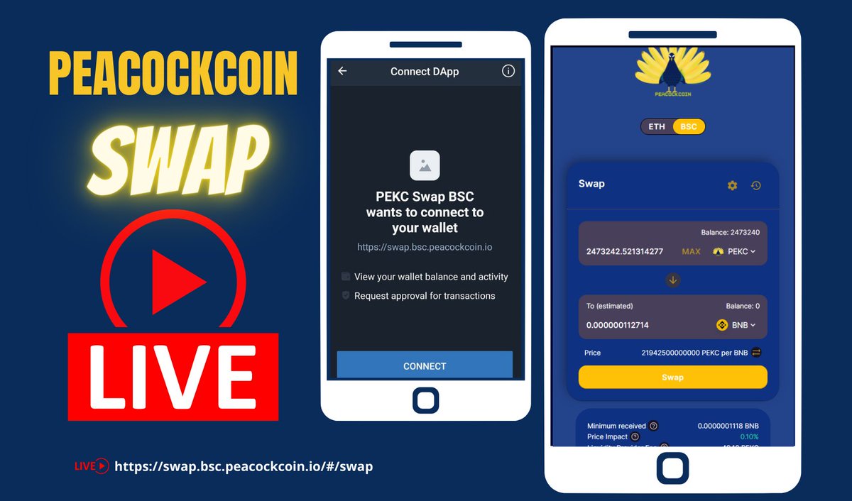 PeacockCoin | Official 🦚 tweet media