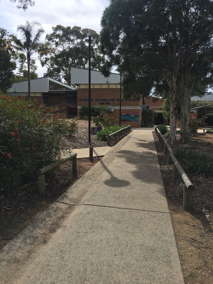 The sun is shining and our learners are back at it. Another wonderful day ahead at YPS!