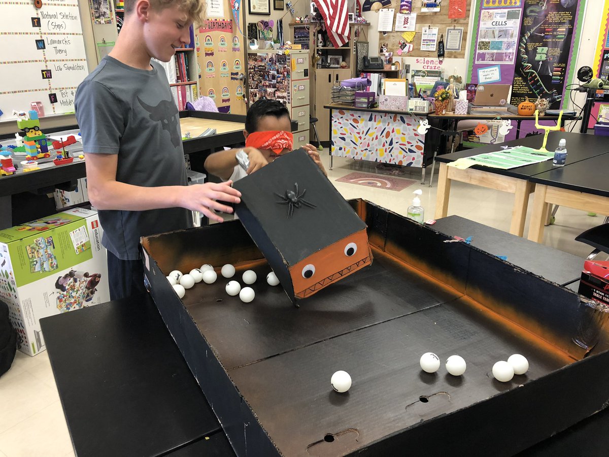 Mary Ann Cawley tweet media