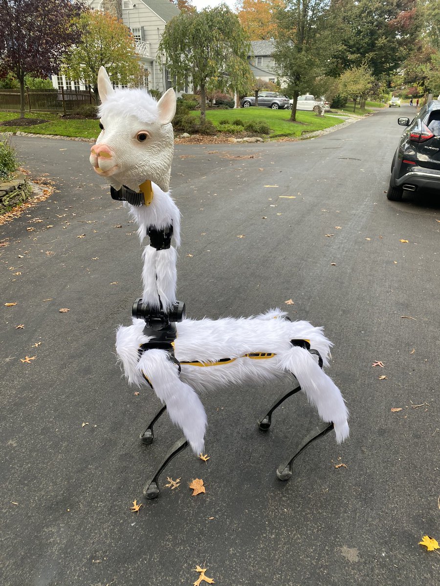 Brendan Schulman tweet media