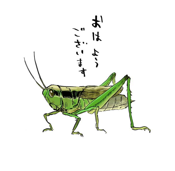 今週もよろしくお願いいたします 