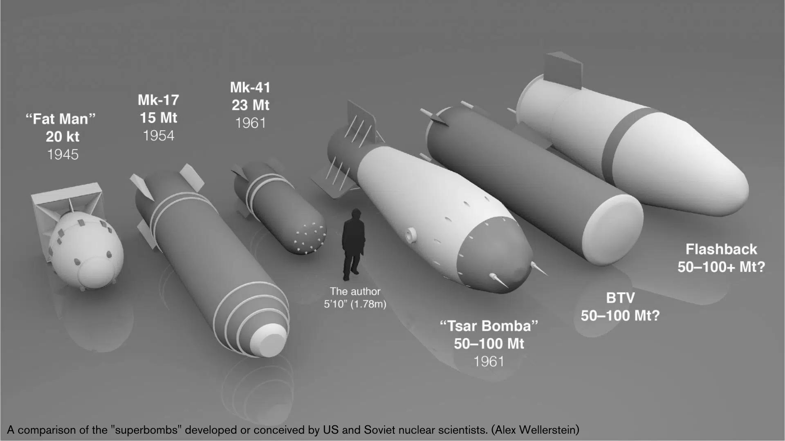 Ammunition Size Comparison (3D) 