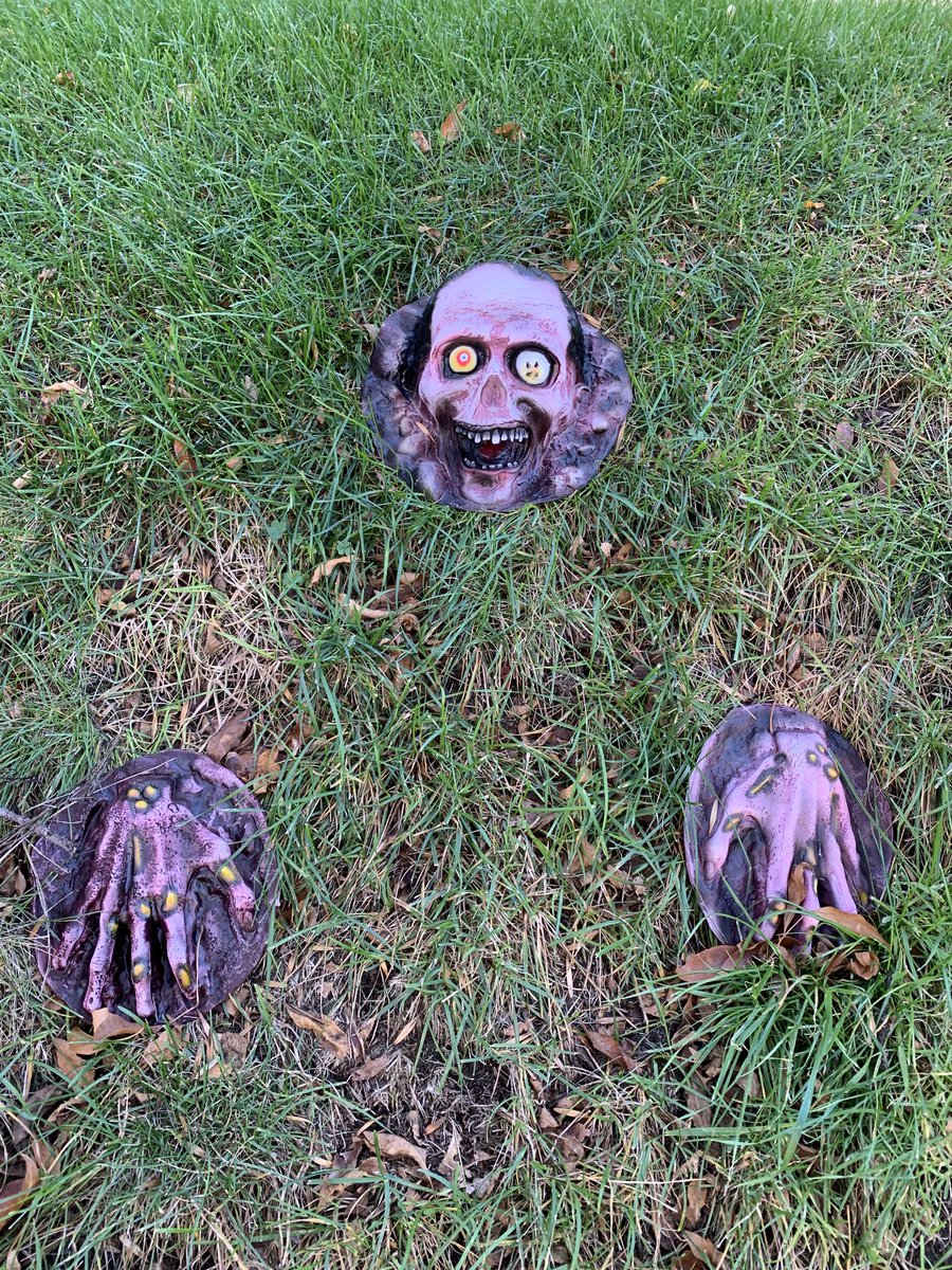 DLMinn's tweet photo. Happy Halloween 🎃 to all you ghosts &amp; goblins! https://t.co/Lsbc9h9lCx