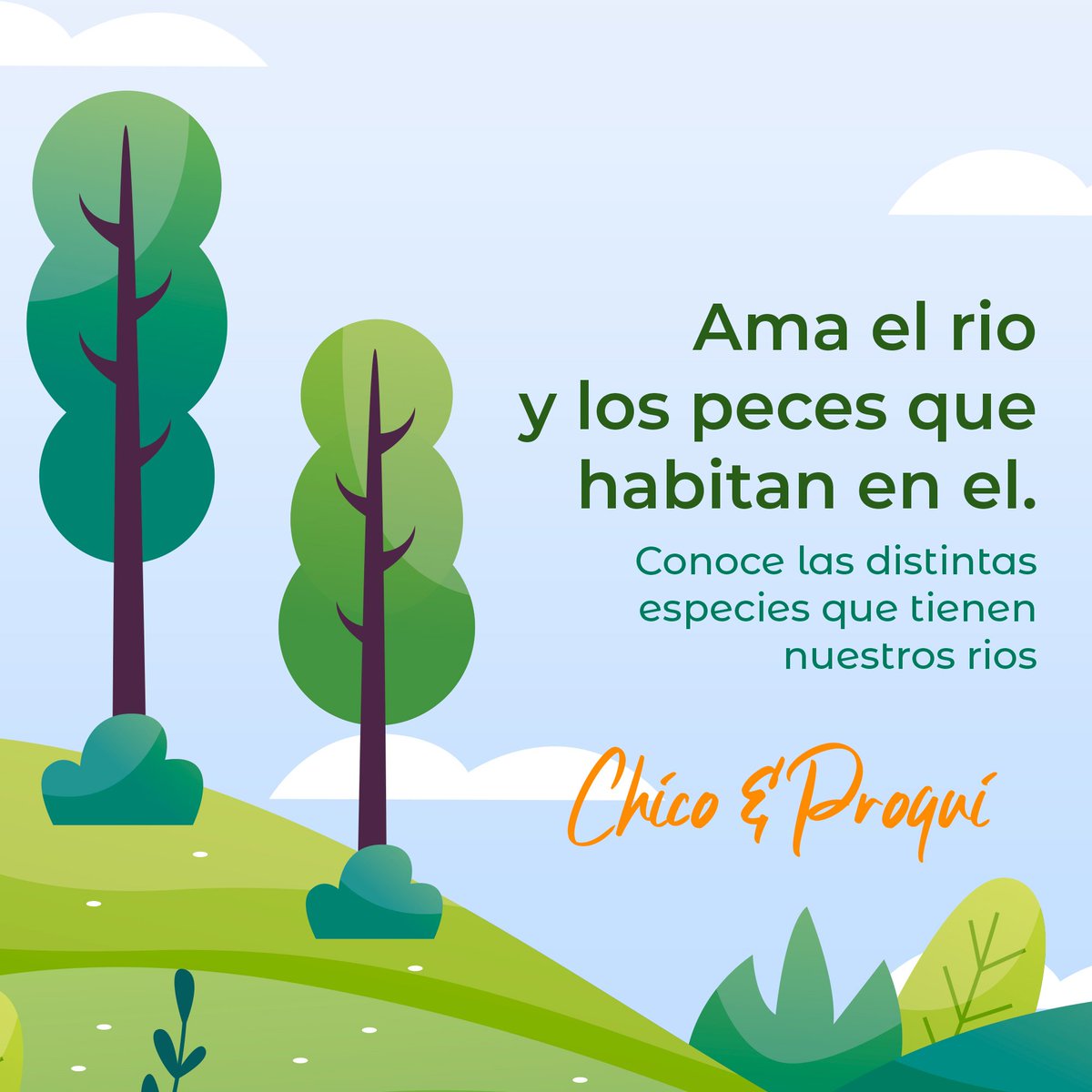 chicoyproqui's tweet photo. Hola somos chico y proqui, 
queremos que estés con nosotros y compartir esta nueva aventura contigo, y que aprendas con nosotros... acompañanos! https://t.co/EQ13IRARsE