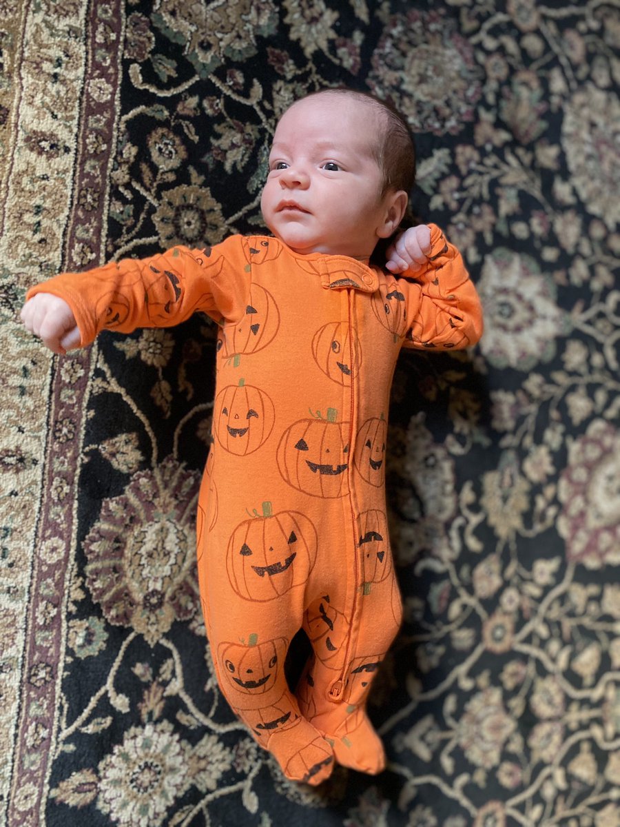 Amanda Jones (Stone) tweet media