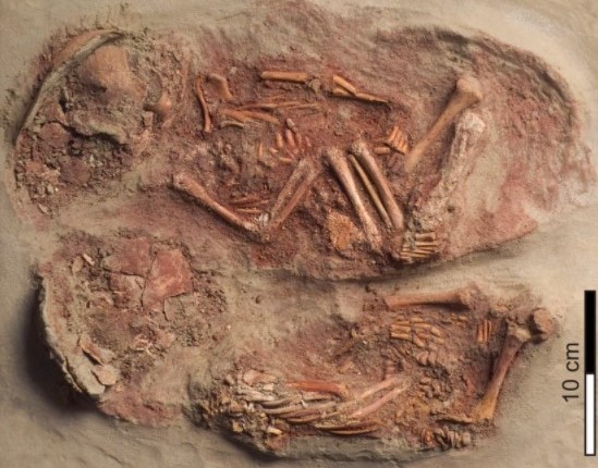 Ancient DNA reveals monozygotic newborn twins from the Upper Palaeolithic nature.com/articles/s4200…