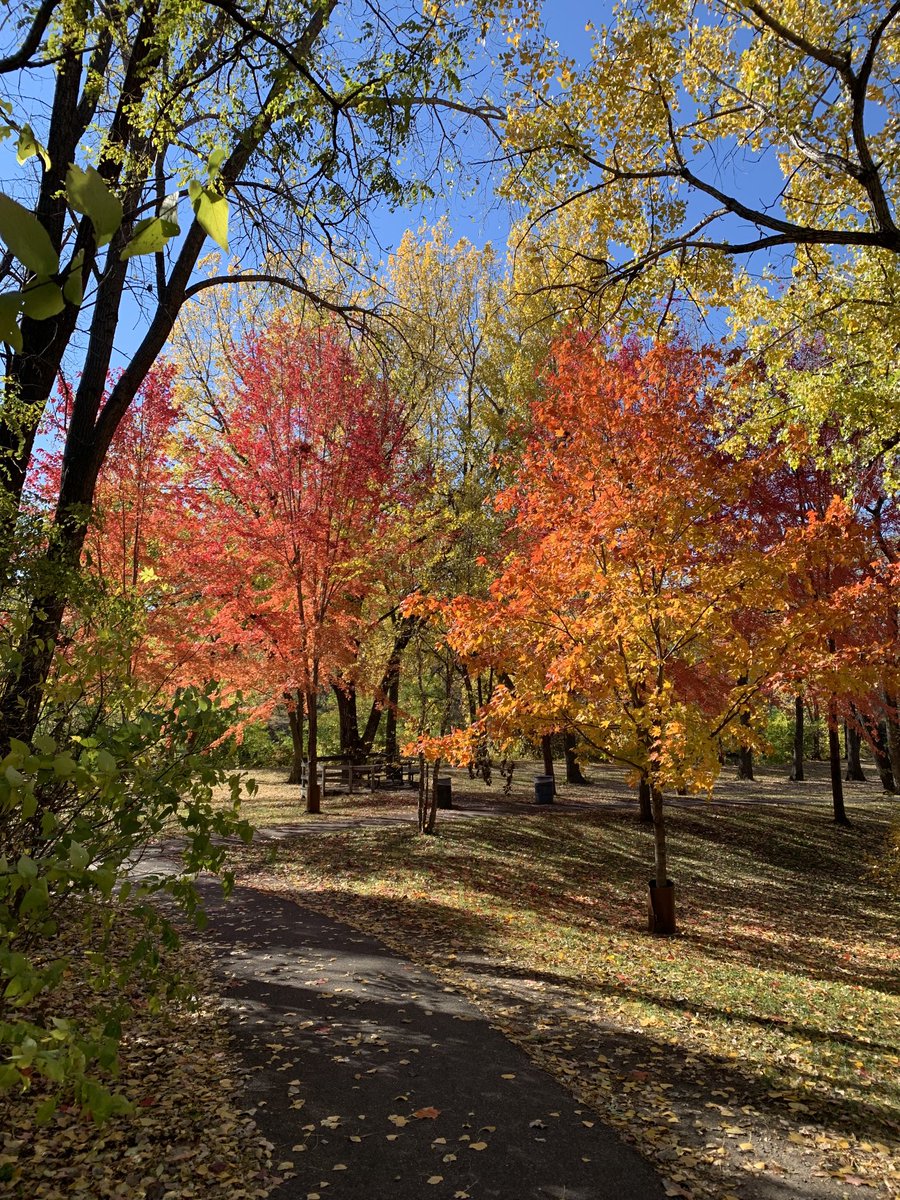 DLMinn's tweet photo. Fall in #minneapolis doesn’t get much better then this. https://t.co/YoydDmoPmc