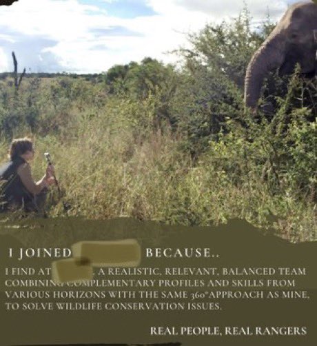 julieLasne's tweet photo. Vendredi nous avons eu un contact avec la #Préfecture qui nous a dit vouloir capturer le puma vivant et nous a dit transmettre nos propositions d’unir nos expertises de suivi &recensement#pumas ds son milieu+ #ExperienceTerrainFauves #Captifs & #Libres+#RangerConservation https://t.co/oTkaXH0323