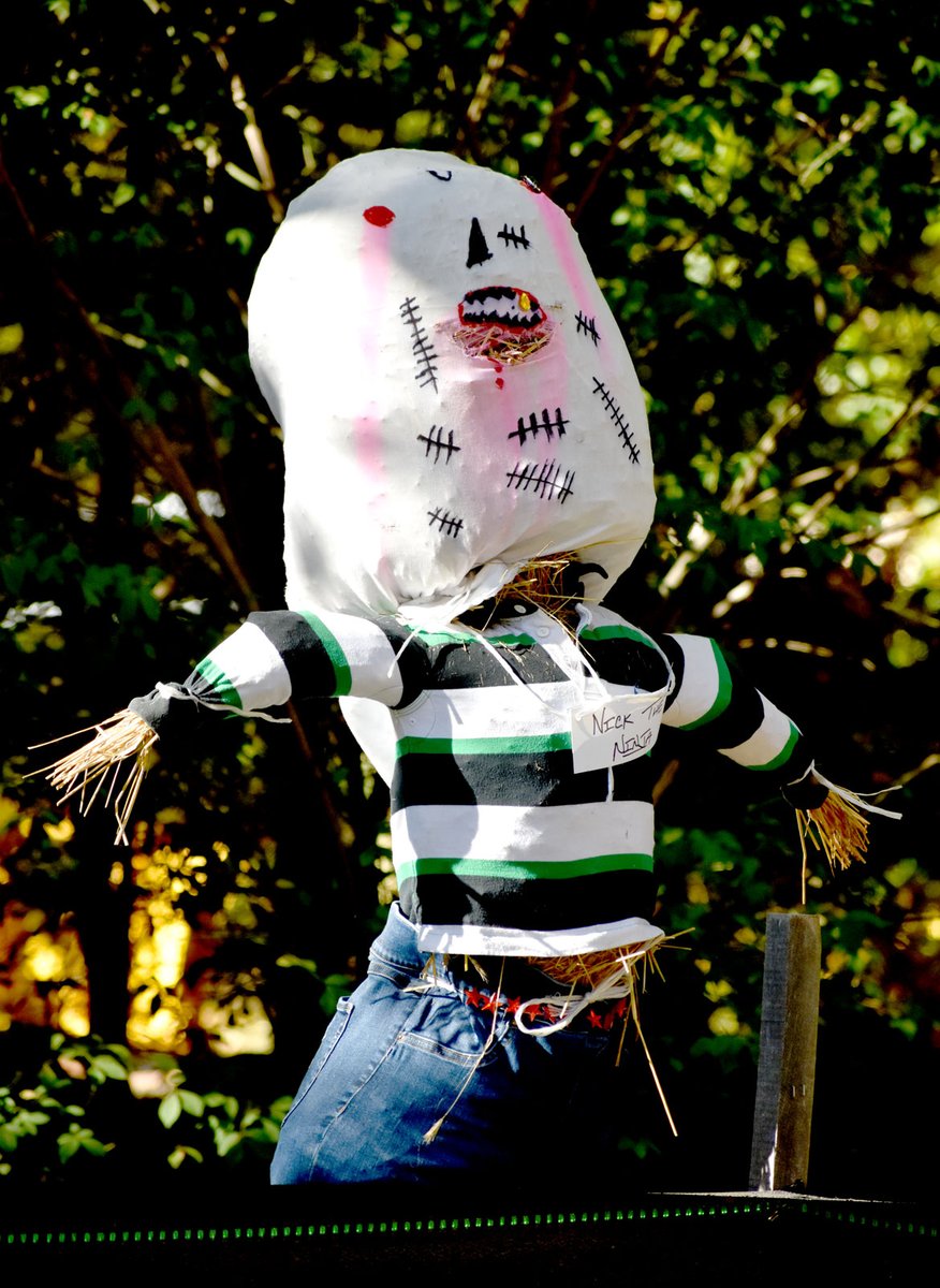 Photos of how we decorate for #Halloween around these parts: gregcookland.com/wonderland/202…