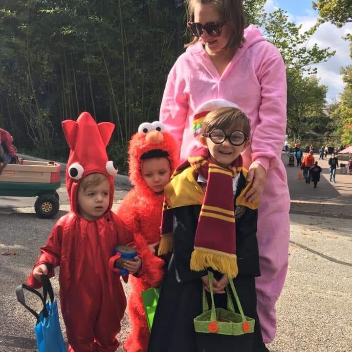 AFmuseum's tweet photo. Come visit us @CincinnatiZoo for #hallzooween https://t.co/KrVo7CmfOC