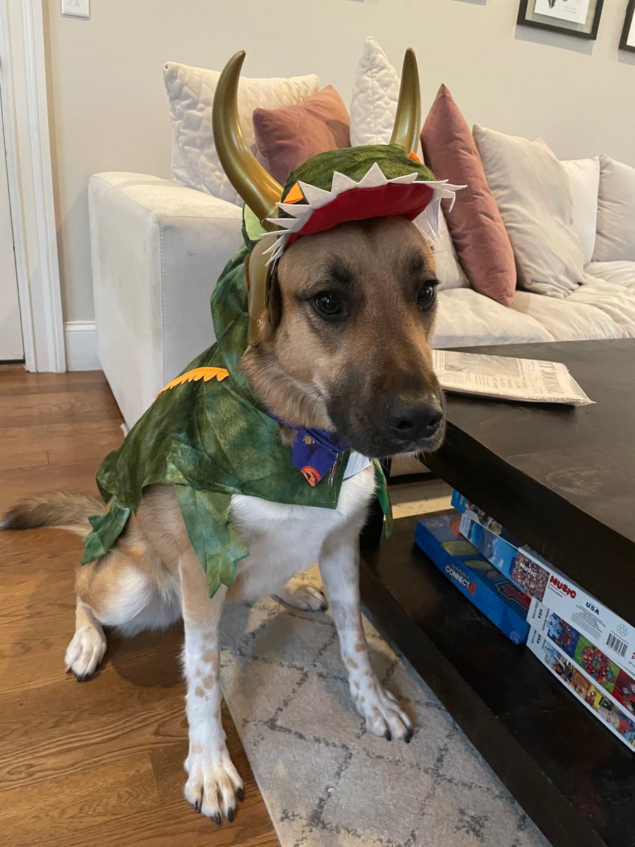 ckellogg18's tweet photo. Alligator Stevie is burdened by glorious purpose (and a mom who forces her into cosplay) @RingerVerse #Loki https://t.co/QHUDSqmbRf