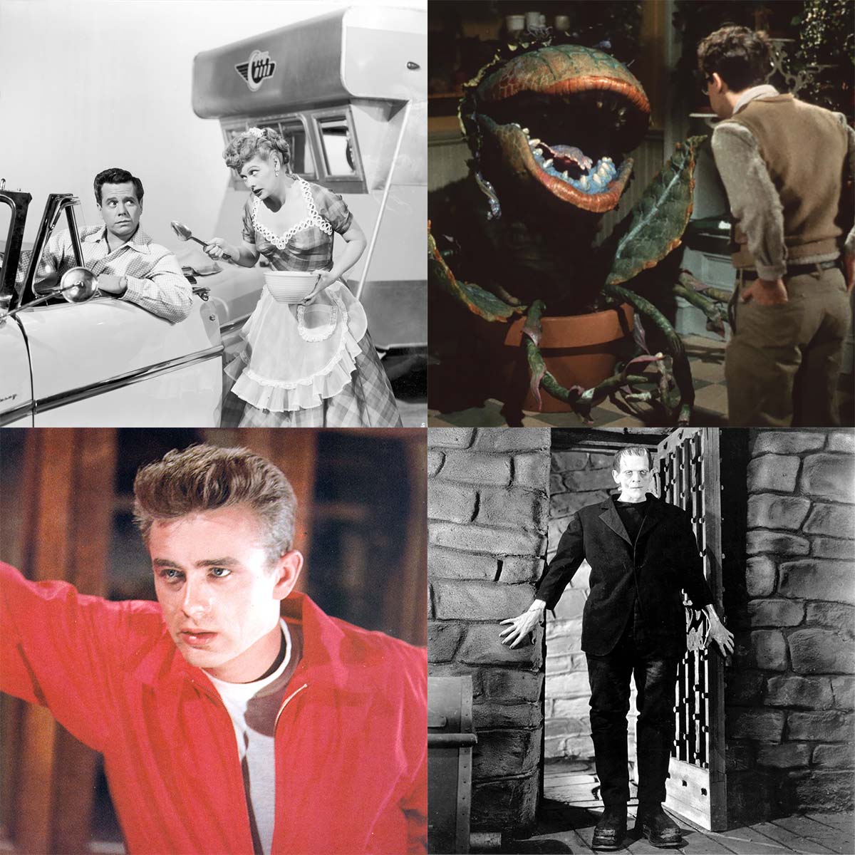 tcm's tweet photo. Need some last-minute Halloween costume inspiration? 

We've got you covered, whether you're going for a flirty Marilyn, a spooky Dracula, or a very hungry plant! 😉 https://t.co/t3HHhpNrRa