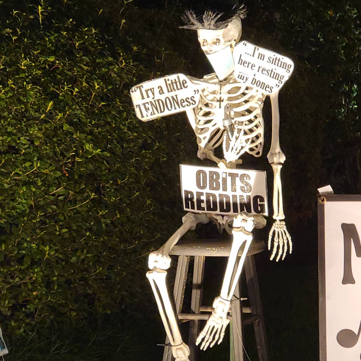 marykmulcaheymd's tweet photo. Happy Halloween!🎃
#orthotwitter #skeletonhouse #NOLA
#humerus #Halloween2021 @CityOfNOLA @TulaneOrtho @TulaneMedicine https://t.co/HwlubRa1JM