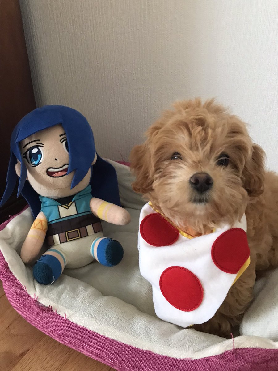 TheKrewFam14's tweet photo. happy birthday kat!! @ItsFunneh @DraconiteDragon @Lunar3clispe @RainbowsYT @GoldenGlare_ #itsfunneh #krewfam https://t.co/M3Y8L8uBah