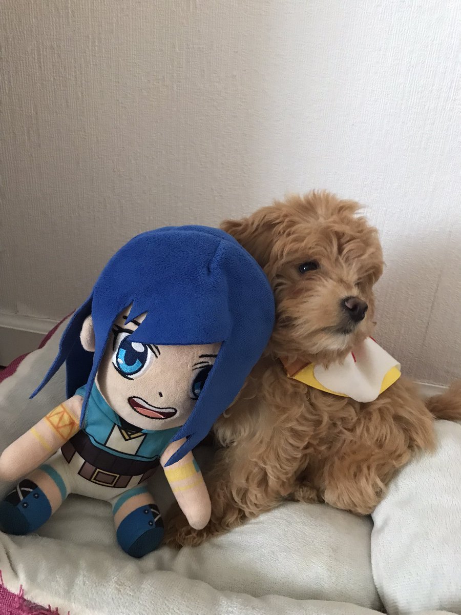TheKrewFam14's tweet photo. happy birthday kat!! @ItsFunneh @DraconiteDragon @Lunar3clispe @RainbowsYT @GoldenGlare_ #itsfunneh #krewfam https://t.co/M3Y8L8uBah