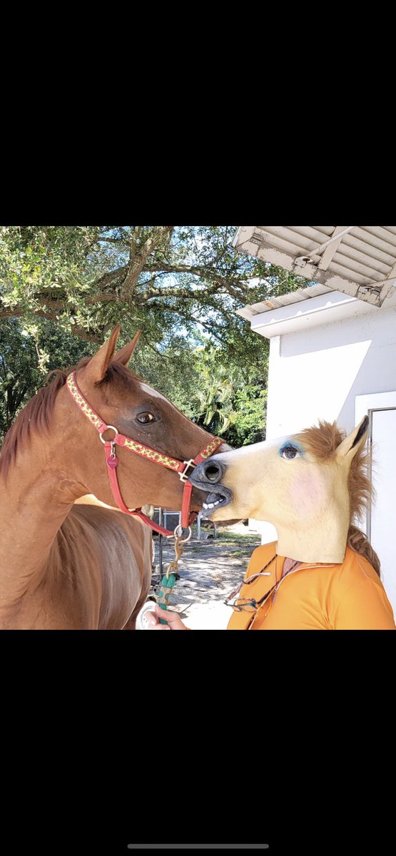 Why the long face Mom? 😅👻🎃🌶🦄