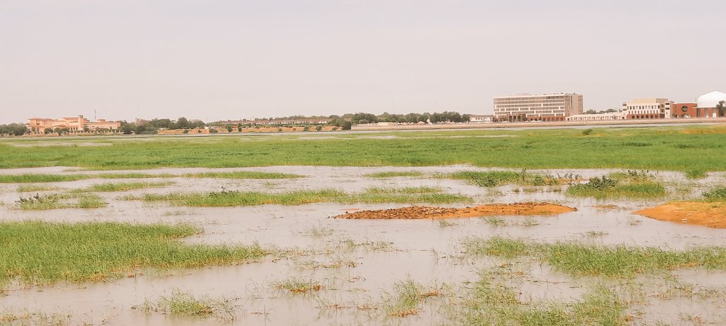 samy_writer235's tweet photo. Très belle vue de #Radisson_Blu & #Hilton de #Ndjamena vu depuis la berge de #Walia...
#Tchad #Adjib @tchadinfos @alwihdainfo @achrafpictures @mamadou @AbakarNokour @noh_outhman @Aurelie_Bazzara @GmahamatIdi #citation #proverbe #photographie https://t.co/VjPN0hCzDE