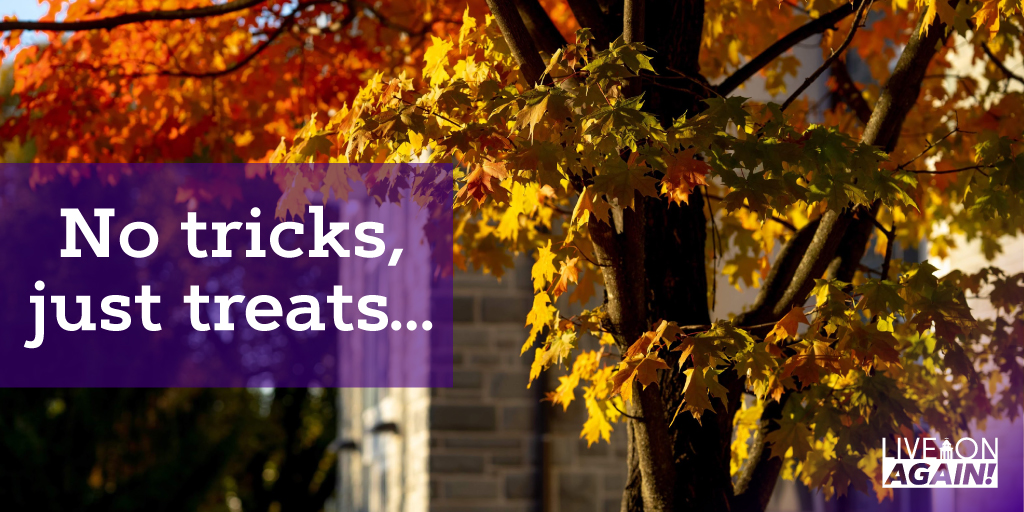 When you live on campus, you don't have to worry about your neighbors. Living on campus guarantees shared space with other Dukes and only other Dukes!  #LIVEONAgain #DukesLIVEON #notricksjusttreats #JMU25 #JMU24 #JMU23 #JMUParents #JMU #JMUHousing  jmu.edu/orl/housing/up…