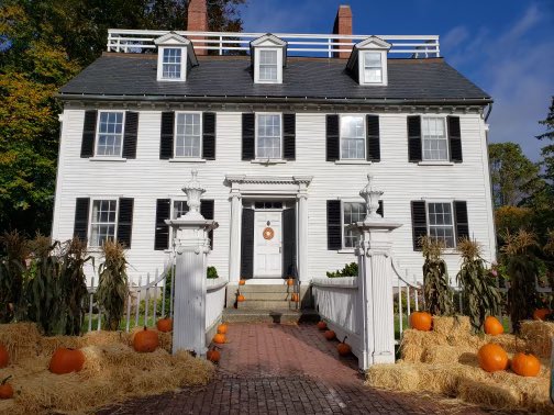 Emmy628's tweet photo. Salem https://t.co/DQ1j162AqH