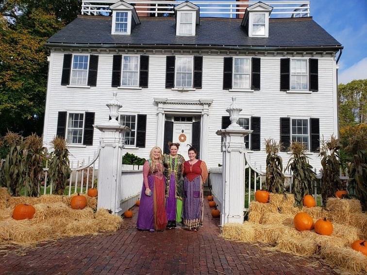 Emmy628's tweet photo. Salem https://t.co/DQ1j162AqH