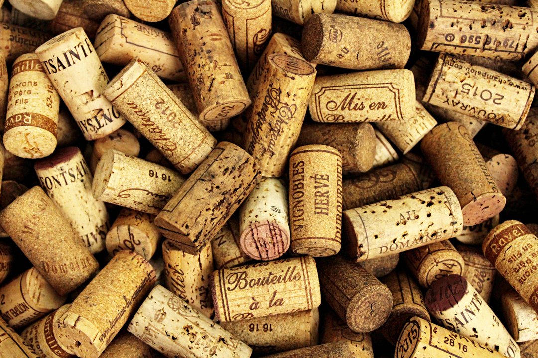 🥂After it is all said and done we couldn't be happier with the result!

✨Boy, has October been a whirlwind! With the month coming to a close we are looking back on the hard work of our team and the generosity from all of you wine lovers!

🙏From the full Grapes for Humanit