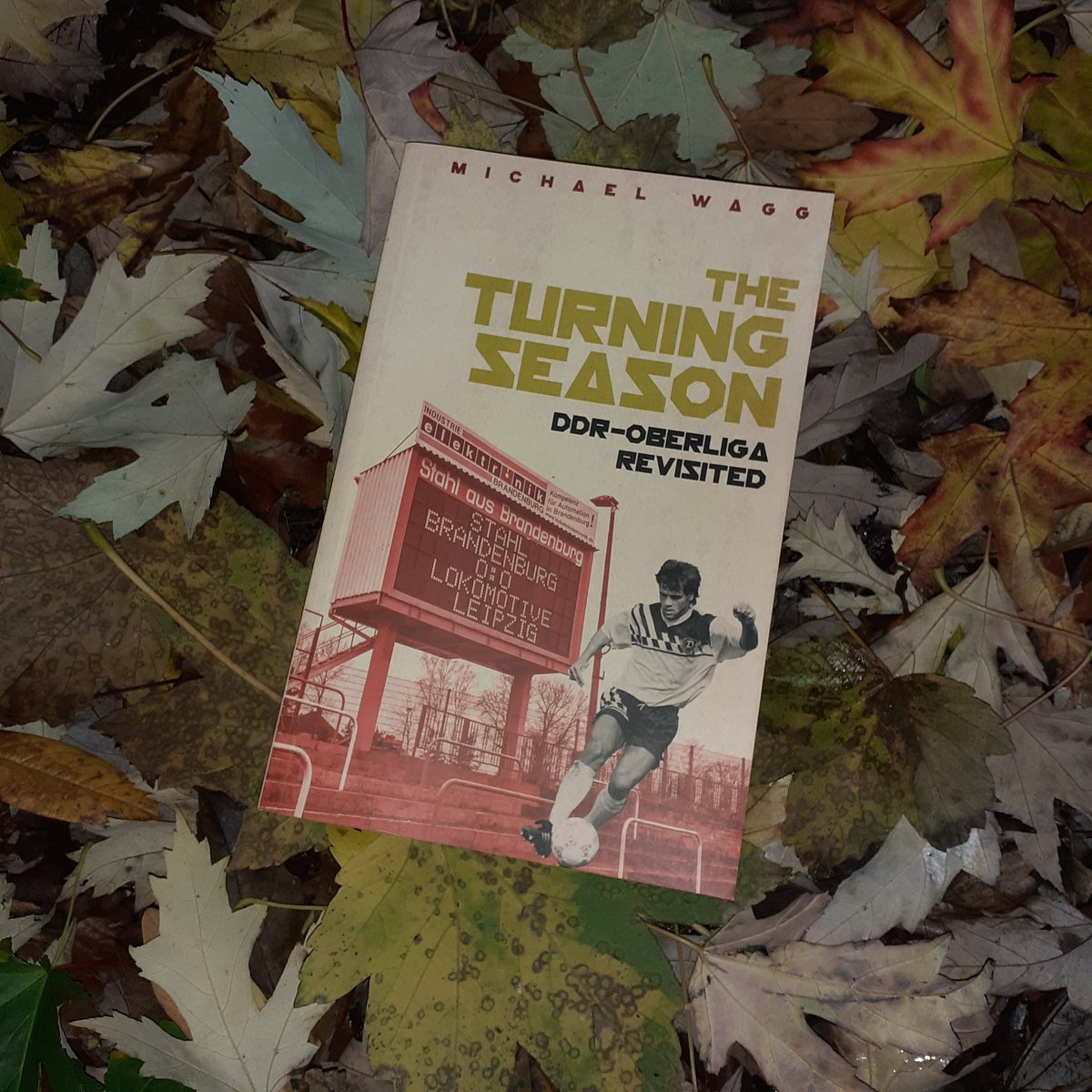 Michael Wagg tweet media