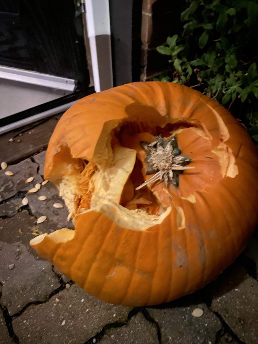 Kat Orman tweet media