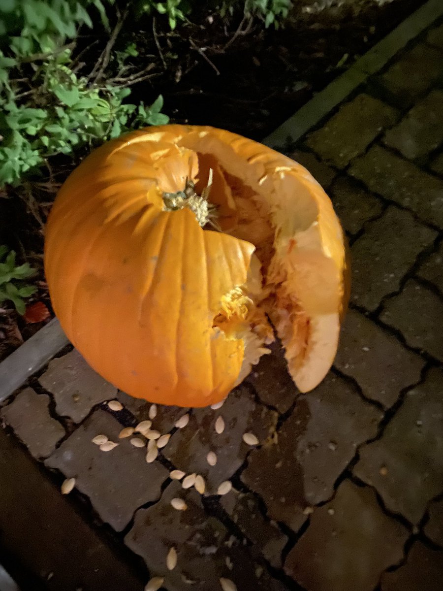 Kat Orman tweet media