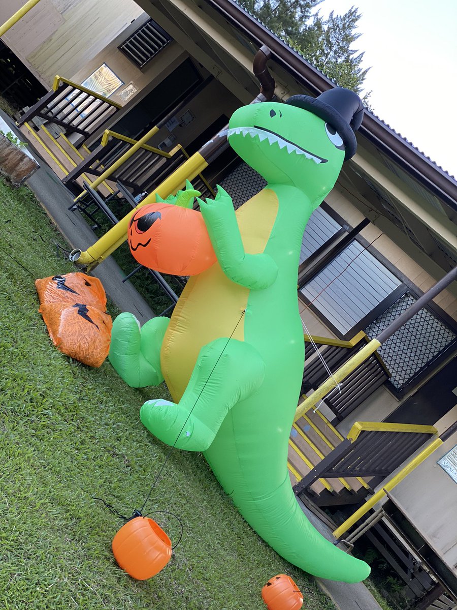 Debbie Collins tweet media