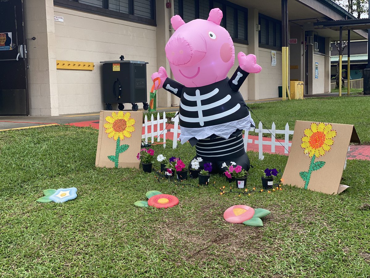 Debbie Collins tweet media