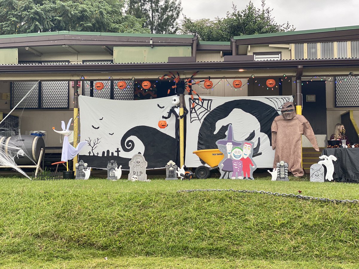 Debbie Collins tweet media