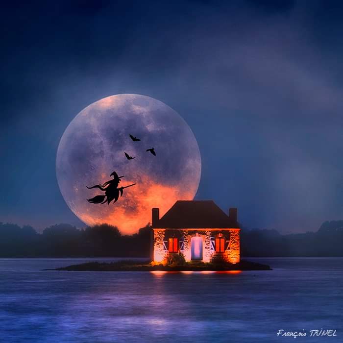 sofboubou1's tweet photo. Passez une très sombre soirée d'Halloween. https://t.co/11asHxn1tU