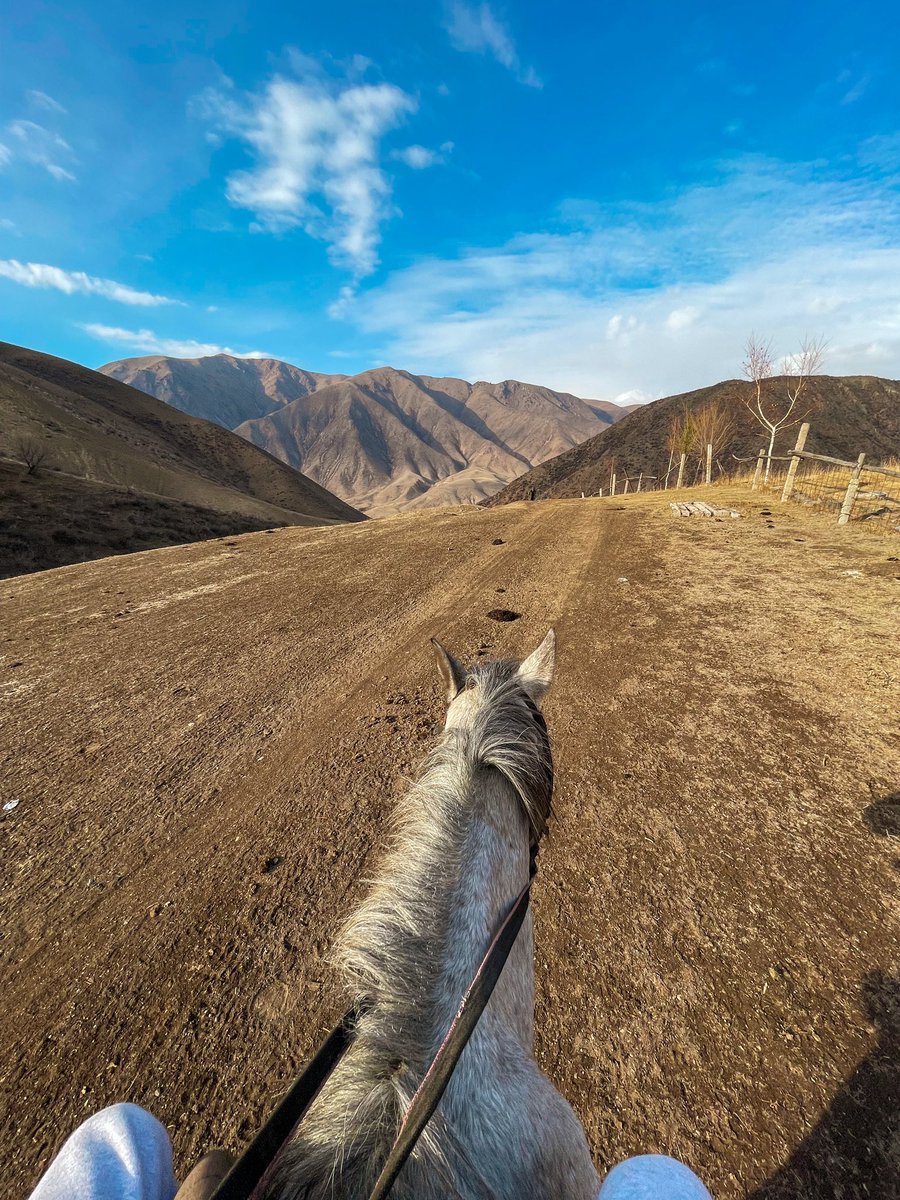 Aujourd’hui je me suis promené avec mon cheval dans les montagnes 🏔🇰🇬