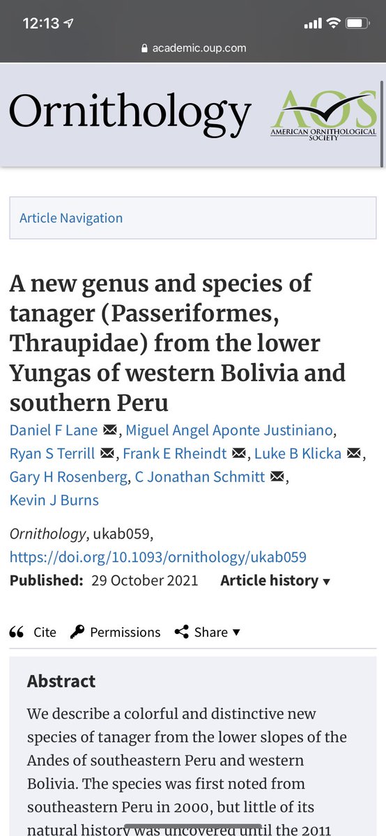 enicurus's tweet photo. I’m pretty excited to be able to share this photo finally. World, meet the Inti Tanager (Heliothraupis oneilli), a brand new genus and species of bird to science. This was an international collaborative effort - and it’s great to see it finally out! https://t.co/Fqlbot4sit