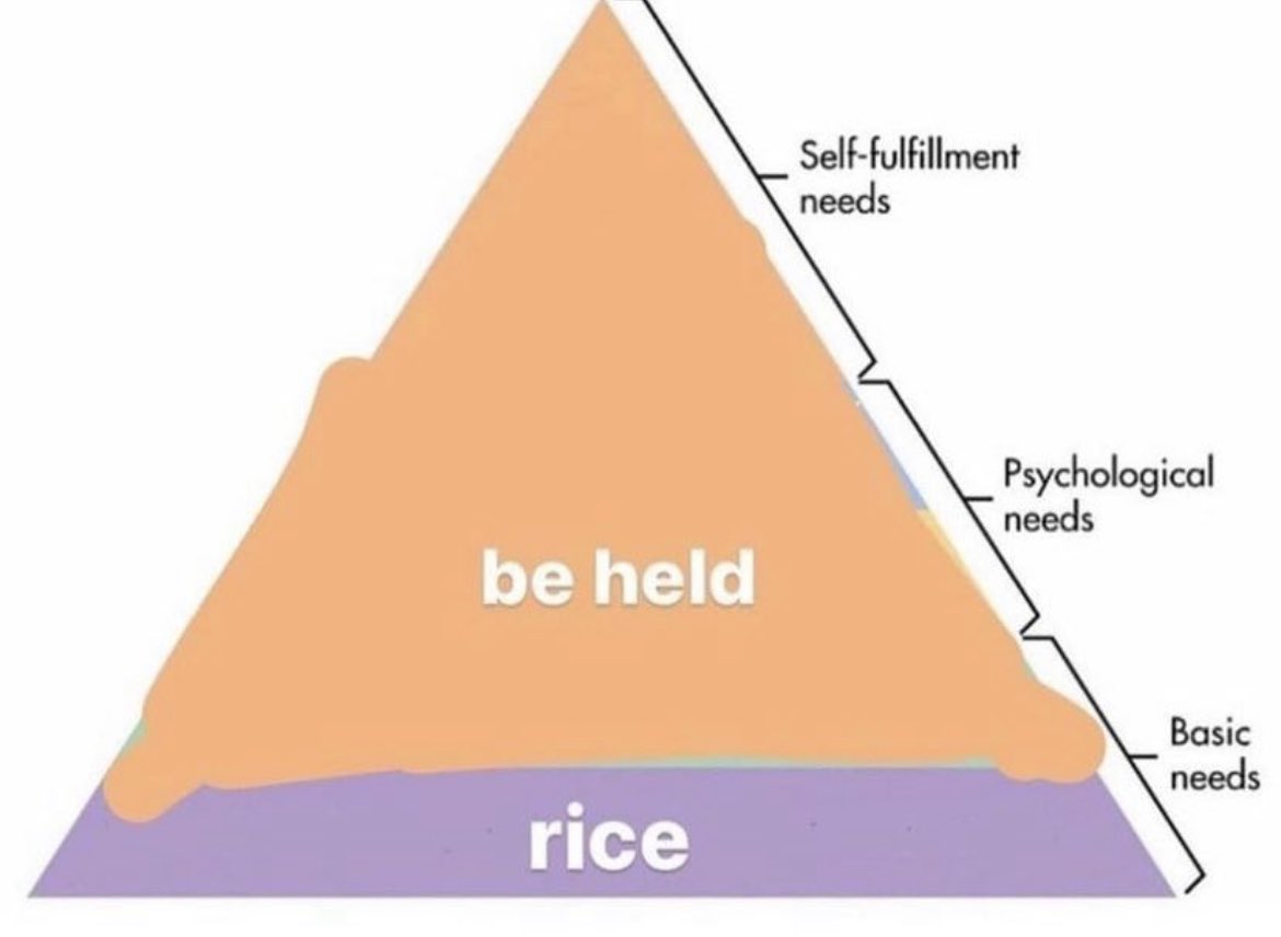 RespectfulMemes's tweet image. 