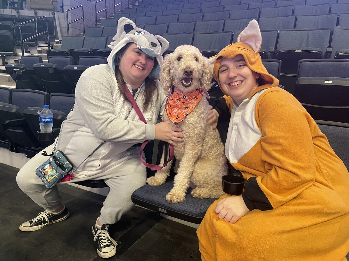 KitsuneKirara's tweet photo. @griffinshockey @AmwayUS Two happy canines and a very happy puppy! #GoGRG https://t.co/qMR20UZYoM
