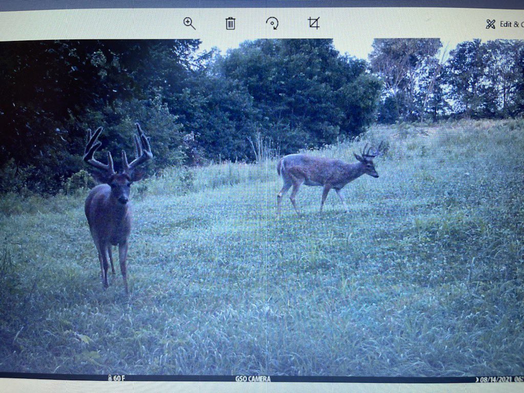 cppottier's tweet photo. Another beautiful morning at the Double O Farm. I didn’t notice his right G3 broke off, but I am still pumped regardless! https://t.co/K5lQXE8V9K