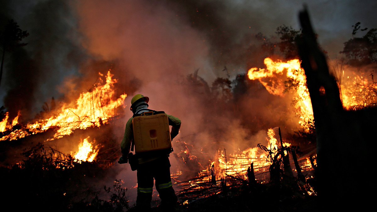 CEOofShaula's tweet photo. #SaveAmazonas
The deforestation of the Amazonas rainforest is going over a decade.
The Brazilian government, allowed farmers to illegally burn hectares of rainforest.
Consequently, many tribes are in danger of their existence.
These folk fought for many years for their existence. https://t.co/lwj1QLinOk
